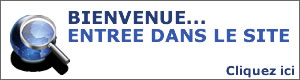 consulter Manche Automobiles